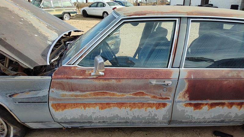 1980-1989 Cadillac Deville (80 & Up) Front Door LH