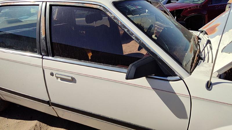 1982-1989 Buick Century Front Door RH