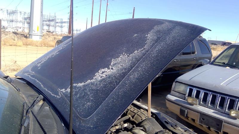 1995-2001 Explorer Hood