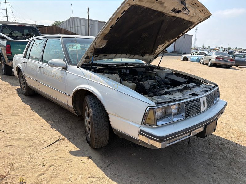 1985-1999 Oldsmobile Ninety-eight (80 & Up) Strut Assembly RH