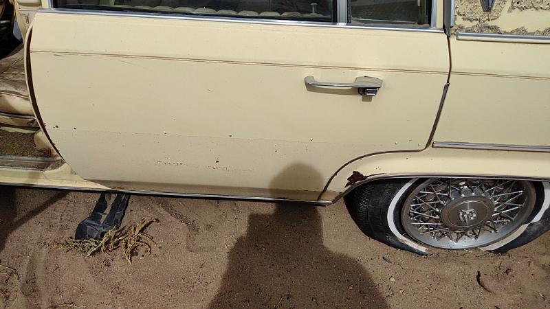 1980-1992 Cadillac Deville (80 & Up) Rear Door LH