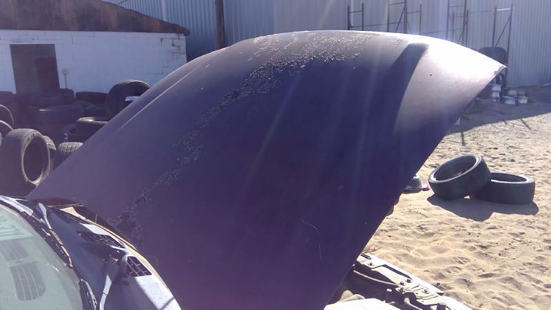 2002-2009 Chevrolet Trail Blazer (113 W.b.) Hood