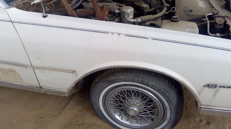 1980-1990 Chevrolet Caprice (80 & Up) Fender RH