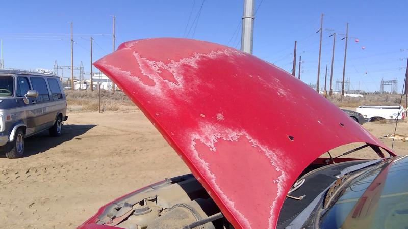 1997-2004 Ford Pickup F150 Series Hood