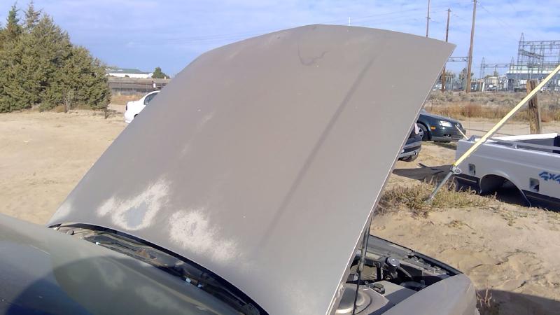 1991-1999 Oldsmobile Eighty-eight (80 & Up) Hood