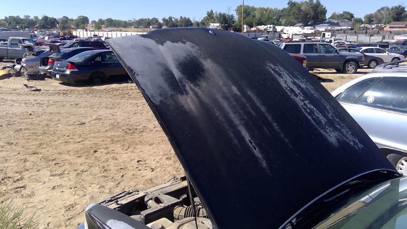 1991-1996 Buick Park Avenue (80&up) Hood