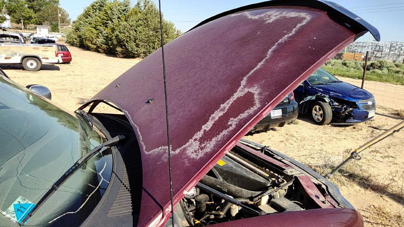 1997-2004 Ford Expedition Hood