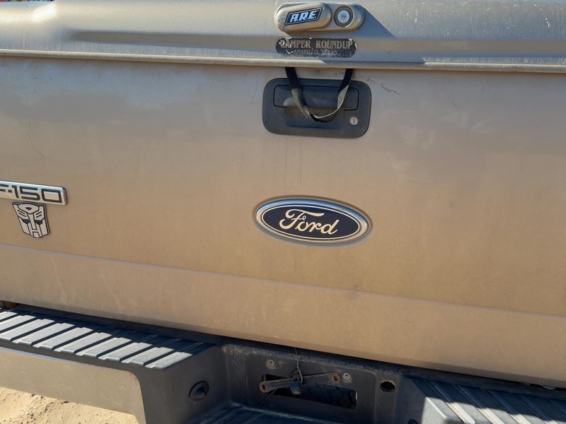 2004-2008 Ford Pickup F150 Series Trunk/Decklid/Hatch/Tailgate