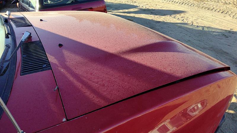 1993-1997 Nissan Pickup Hood