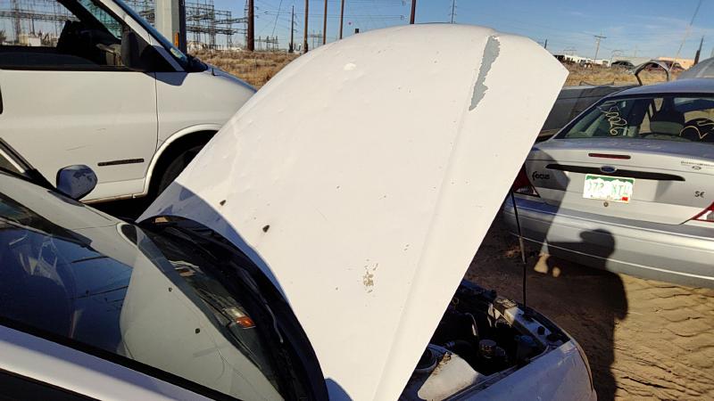 2001-2003 Hyundai Elantra Hood