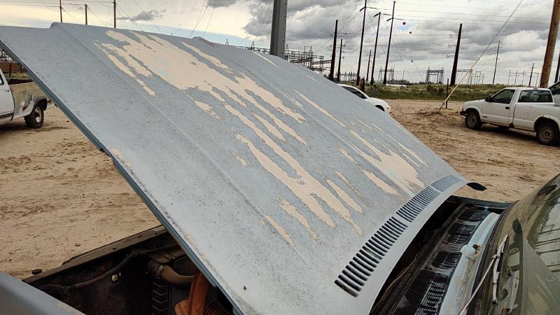 1973-1980 Chevrolet Pickup 10 Series Hood