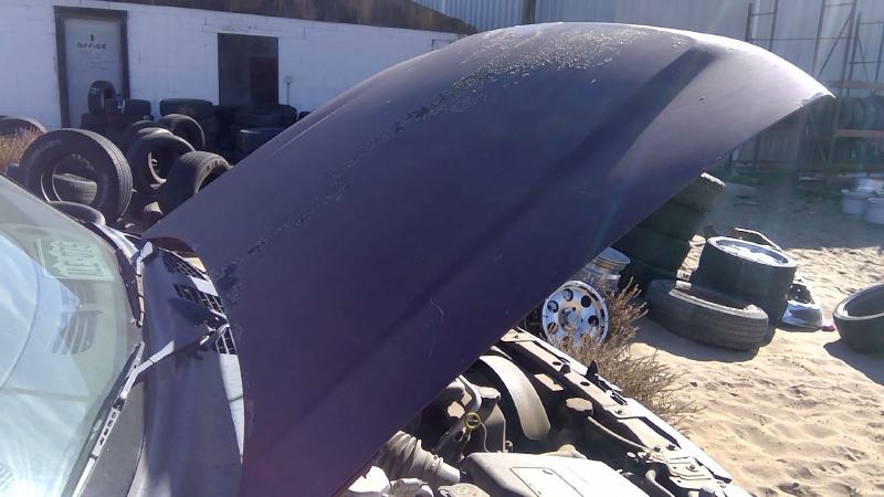 2002-2009 Chevrolet Trail Blazer (113 W.b.) Hood