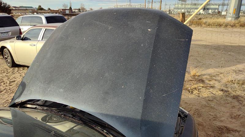 2001-2005 (discontinued) Passat Hood