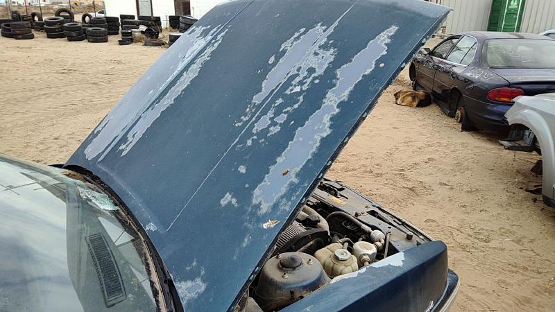1989-1991 Oldsmobile Calais Hood