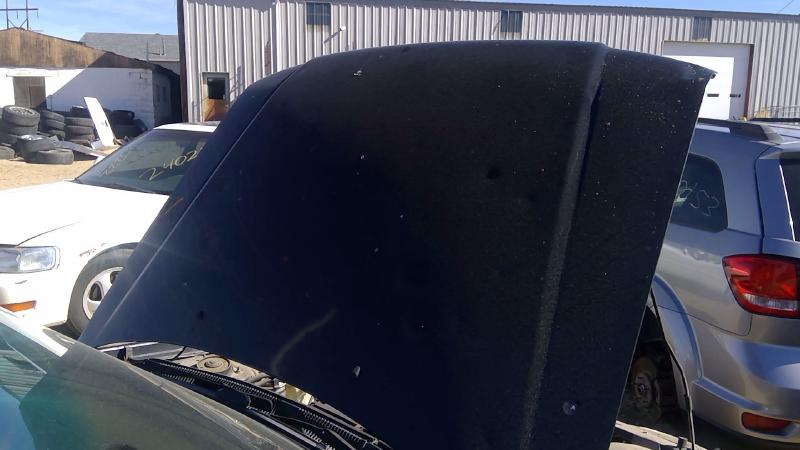 2001-2002 Subaru Forester Hood