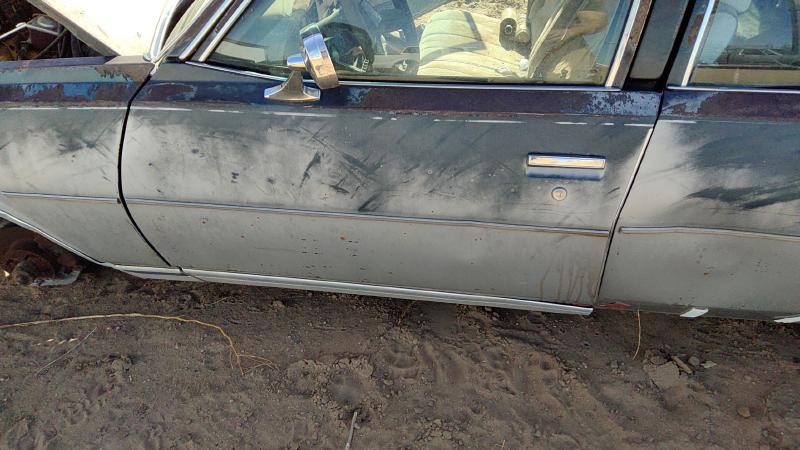 1977-1979 Chevrolet (full Size) Front Door LH