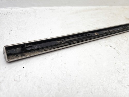 2001-2005 Honda Civic Driver Left Front Moulding From Door Oem Trim Strip Silver