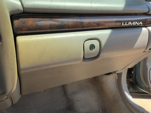 1995-2001 Chevy Lumina Glove Box Assembly Complete Door with Latch OEM Shale 92B