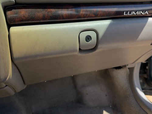 1995-2001 Chevy Lumina Glove Box Assembly Complete Door with Latch OEM Shale 92B