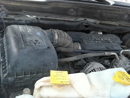 2006 Dodge Ram 2500 Passenger Right Window Track Seal Rubber Weatherstrip
