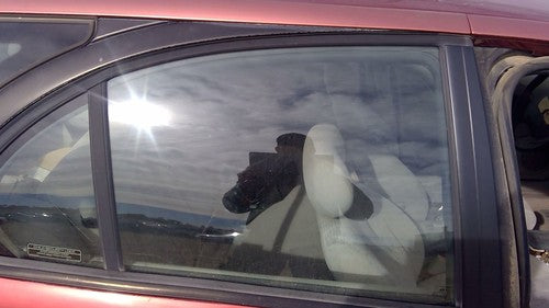 1996-2000 Saturn Sw2 Passenger Right Rear Side Window Door Glass Oem Back