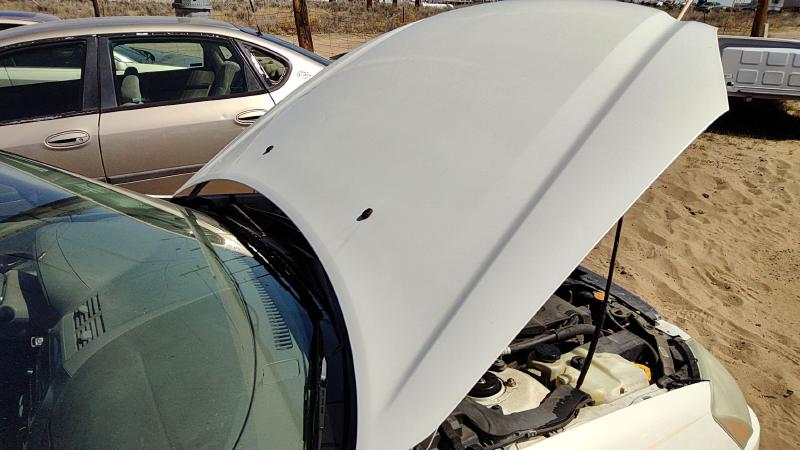 2002-2004 Nissan Altima Hood