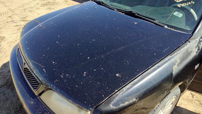1999-2002 Infiniti G20 Hood