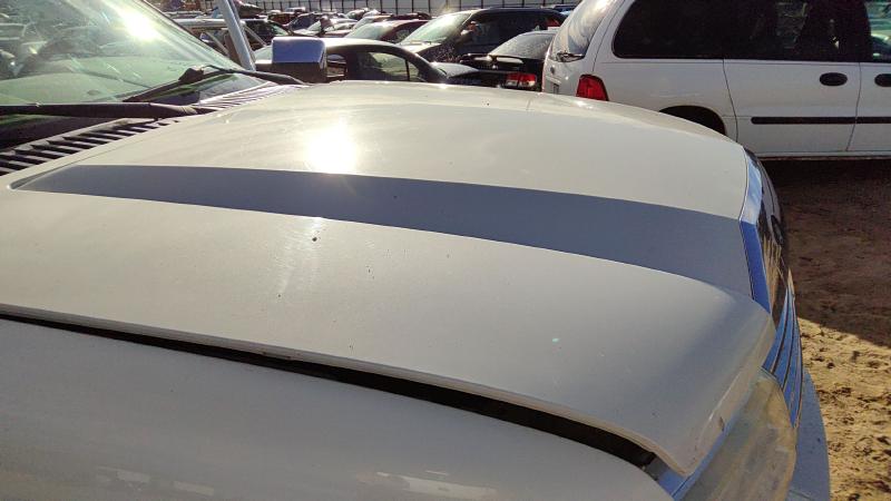 2007-2014 Lincoln Navigator Hood