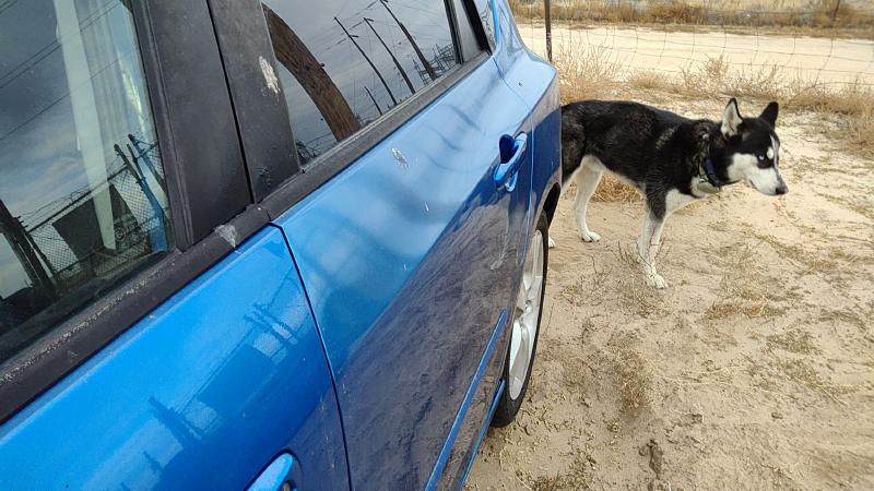 2004-2009 Mazda 3 Rear Door LH