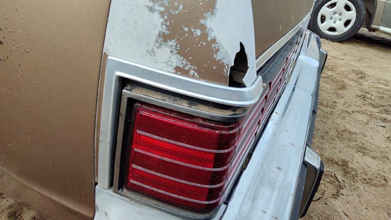 1981 Malibu Quarter Panel Moulding LH