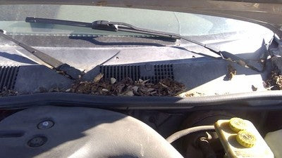 1994 Jeep Grand Cherokee Windshield Wiper Cowl Vent Trim Panel Oem Grille