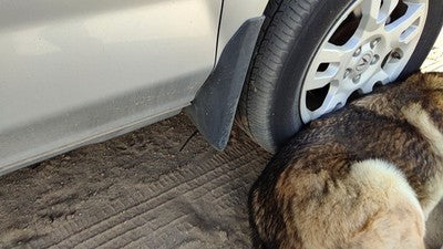 2004 Acura Mdx Passenger Right Moulding From Fender Oem Trim Strip Silver