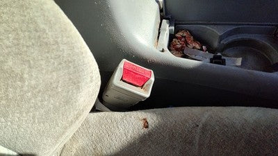1997 Honda Accord Passenger Right Front Seat Belt Buckle Receiver Oem Gray
