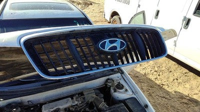 2001-2003 Hyundai Elantra Front Grille Oem Chrome 863502D070
