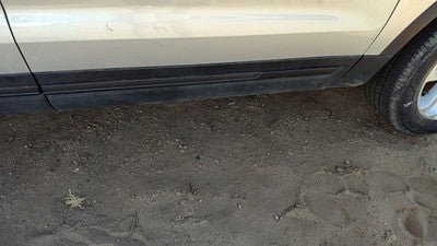 2016-2017 Ford Explorer Passenger Right Front Moulding From Door Oem Trim Strip