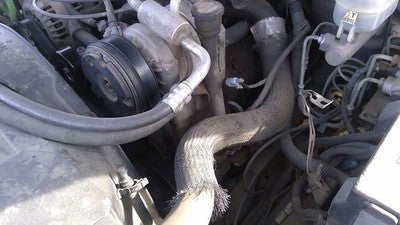 1998 Chevy S10 Blazer Power Steering Pump With Mount Bracket Oem 4.3L Ac Bolts