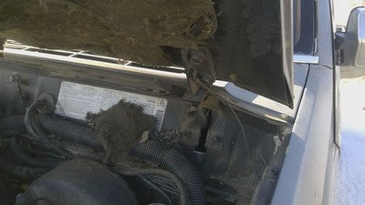 1984-1998 Jeep Cherokee Gray Driver Left Hood Hinge Assembly Oem 55235725Ad