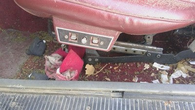 1985 Jeep Cherokee Driver Left Power Seat Track With Motors Only Oem