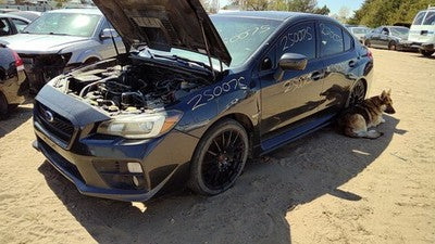 2015-2017 Subaru Wrx Passenger Right Front Strut Assembly With Spring Oem 2.0L