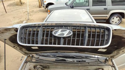 2001-2003 Hyundai Elantra Front Grille Oem Chrome