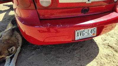 2003-2005 Chevy Cavalier Rear Bumper Cover Assembly Oem Back Red 74U 12335580