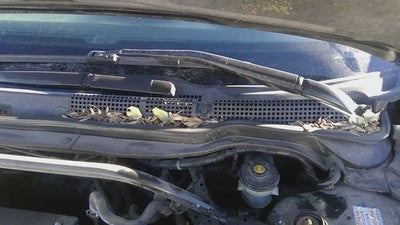 2004 Acura Tsx Windshield Wiper Cowl Vent Trim Panel Oem Grille 74210Seag00