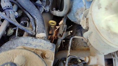 2007 Ford F150 Lower Intermediate Steering Shaft Oem