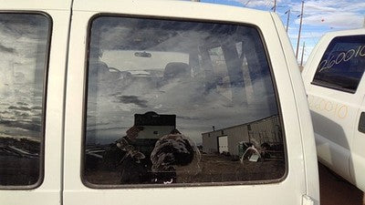 1985-2005 Gmc Safari Passenger Right Back Glass Rear Window Oem 15591980