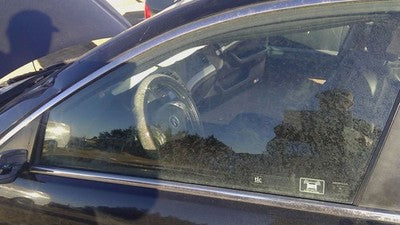 2004-2005 Acura Tsx Driver Left Front Side Window Door Glass Oem 73350Seca00