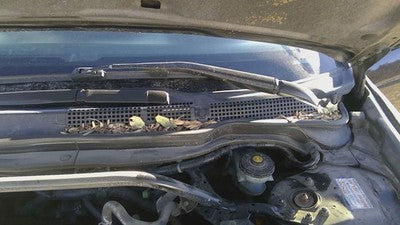 2004 Acura Tsx Windshield Wiper Cowl Vent Trim Panel Oem Grille 74210Seag00