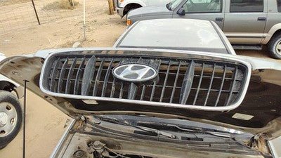 2001-2003 Hyundai Elantra Front Grille Oem Chrome