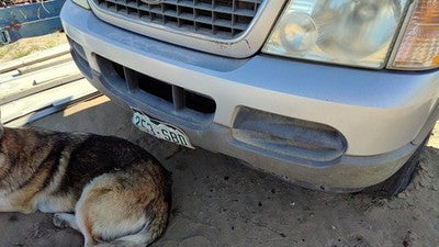 2002-2005 Ford Explorer Front Bumper Cover Assembly Oem Silver Ts 1L2z17d957paa