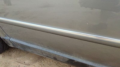 2001-2005 Vw Passat Driver Left Front Moulding From Door Oem Trim Strip Silver