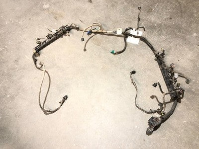 1999 Ford F250 Super Duty Wiring Harness For Engine Oem 5.4L F81b-12B637-Aj